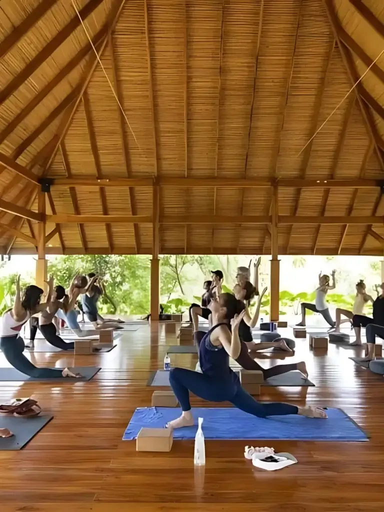 Formação de Professores de Meditação na Índia PT